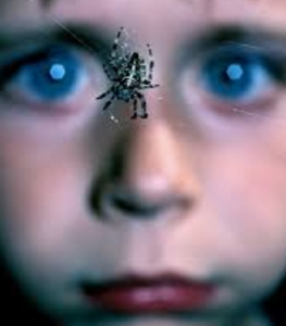 علت ترس از عنکبوت در کودکان 